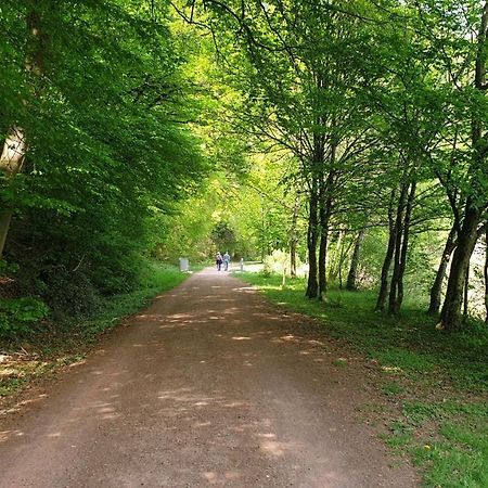 Ferienwohnung Am Saarweg Merzig Bagian luar foto
