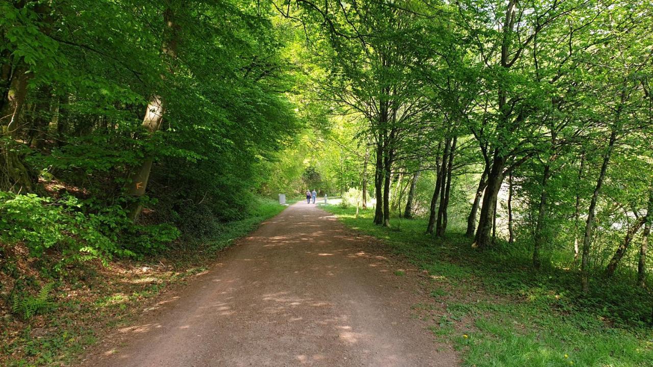 Ferienwohnung Am Saarweg Merzig Bagian luar foto
